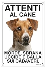 Jack russell attenti usato  Spedito ovunque in Italia 