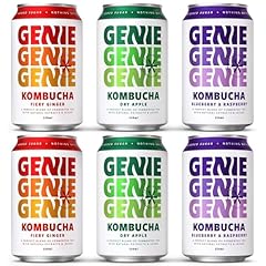 Genie kombucha drink for sale  Delivered anywhere in UK