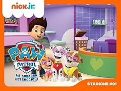 Paw patrol squadra usato  Spedito ovunque in Italia 