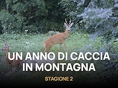 Anno caccia in usato  Spedito ovunque in Italia 