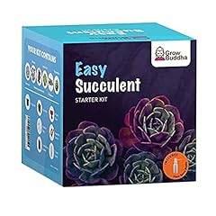 Grow succulent kit for sale  Delivered anywhere in Ireland