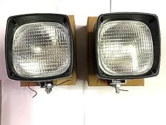 Coppia lampade inondazione usato  Spedito ovunque in Italia 