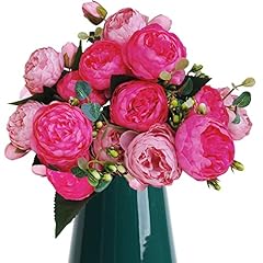 Bomjjor pack peonies for sale  Delivered anywhere in USA 