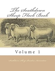 Southdown sheep flock for sale  Delivered anywhere in USA 
