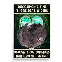 Black abyssinian guinea for sale  Delivered anywhere in USA 