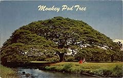 Hawaiian monkey pod for sale  Delivered anywhere in USA 