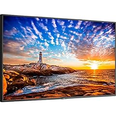 Sharp nec display for sale  Delivered anywhere in USA 