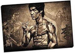 Bruce lee martial for sale  Delivered anywhere in UK
