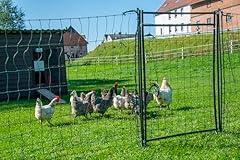 Hotline poultry netting for sale  Delivered anywhere in UK