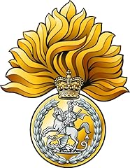 Royal regiment fusiliers for sale  Delivered anywhere in UK