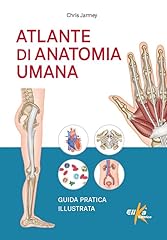 Atlante anatomia umana. usato  Spedito ovunque in Italia 