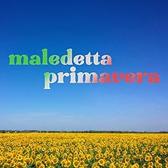 Cicale usato  Spedito ovunque in Italia 