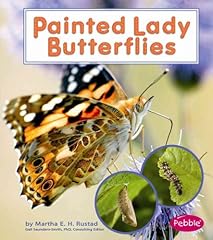 Painted lady butterflies for sale  Delivered anywhere in UK