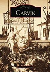 Carvin usato  Spedito ovunque in Italia 