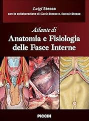 Atlante anatomia fisiologia usato  Spedito ovunque in Italia 