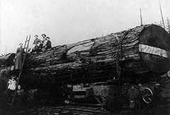 Lumberjack family c1899 for sale  Delivered anywhere in USA 