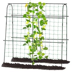 Follook cucumber trellis for sale  Delivered anywhere in USA 