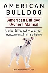 American bulldog. american usato  Spedito ovunque in Italia 