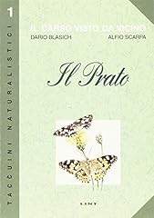 Prato. carso visto usato  Spedito ovunque in Italia 