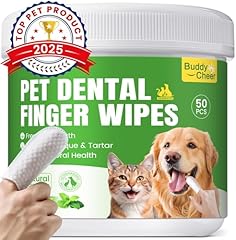 Pet teeth cleaning for sale  Delivered anywhere in USA 