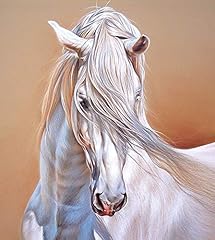 Andalusian stallion close for sale  Delivered anywhere in USA 