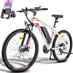 Fafrees bicicletta elettrica usato  Spedito ovunque in Italia 