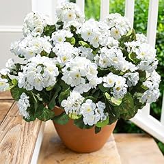 Artificial geranium fake for sale  Delivered anywhere in USA 