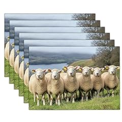 Bergschafe platzsets 2pcs gebraucht kaufen  Wird an jeden Ort in Deutschland