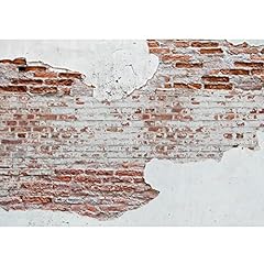 Runa art fototapete gebraucht kaufen Runa art fototapete gebraucht kaufen  Wird an jeden Ort in Deutschland