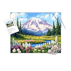Mount rainier national for sale  Delivered anywhere in USA 