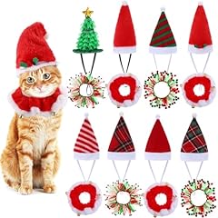 Clysee pcs cat for sale  Delivered anywhere in USA 
