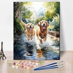 Two golden retriever for sale  Delivered anywhere in UK