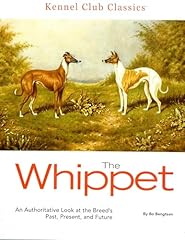 Whippet for sale  Delivered anywhere in USA 