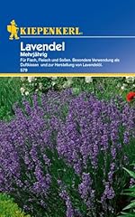 Kiepenkerl lavendelsamen mehrj gebraucht kaufen  Wird an jeden Ort in Deutschland