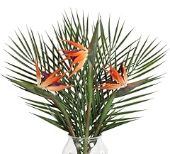 Fqueelvys bird paradise for sale  Delivered anywhere in USA 