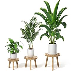 Vecxoty pack wood for sale  Delivered anywhere in USA 