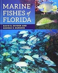 Marine fishes florida for sale  Delivered anywhere in USA 