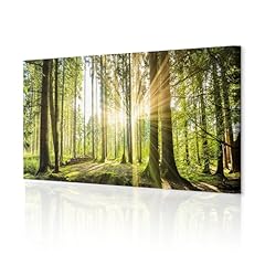 Decomonkey bilder wald gebraucht kaufen  Wird an jeden Ort in Deutschland