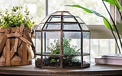 Urban born large for sale  Delivered anywhere in USA 