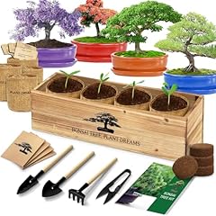 Bonsai tree kit for sale  Delivered anywhere in USA 