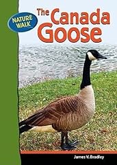 The canada goose d'occasion  Livré partout en France