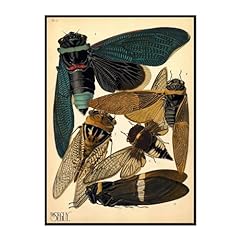 Sfwarmart insects vintage for sale  Delivered anywhere in USA 