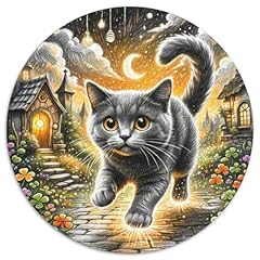 British shorthair blue usato  Spedito ovunque in Italia 