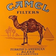 Camel filters explicit gebraucht kaufen  Wird an jeden Ort in Deutschland