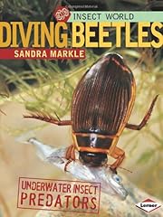 Diving beetles underwater for sale  Delivered anywhere in USA 