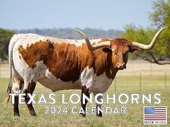 Texas longhorn calendar for sale  Delivered anywhere in USA 