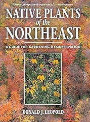 Native plants northeast for sale  Delivered anywhere in USA 