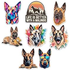 Belgian malinois sticker for sale  Delivered anywhere in USA 