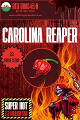 Carolina reaper chilli for sale  Delivered anywhere in UK