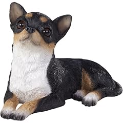 Sandicast tri chihuahua for sale  Delivered anywhere in USA 